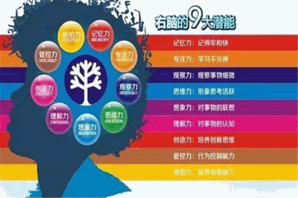 中成啟元全腦潛能開發加盟