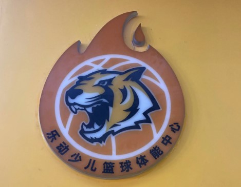 樂動少兒籃球體能中心加盟