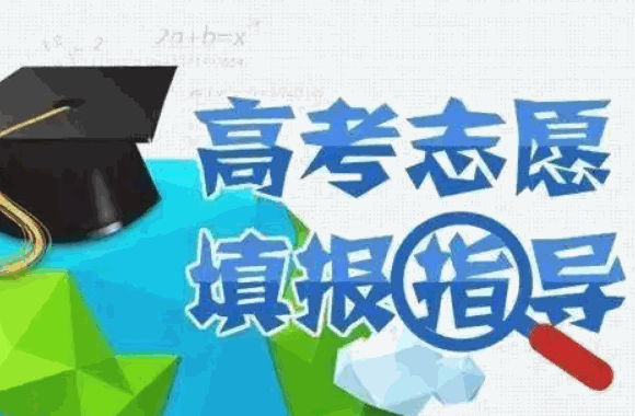 高考圈高考志愿填報咨詢
