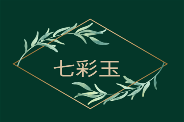 七彩玉加盟