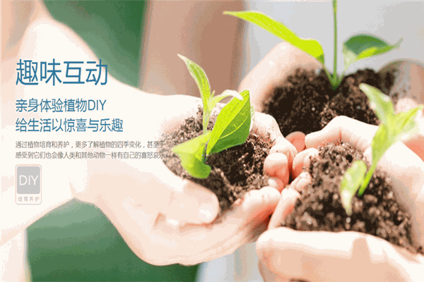 森境智能植物凈化器加盟