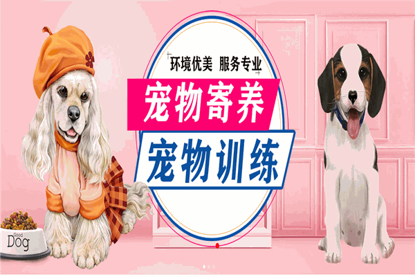 DAC寵物托養中心加盟