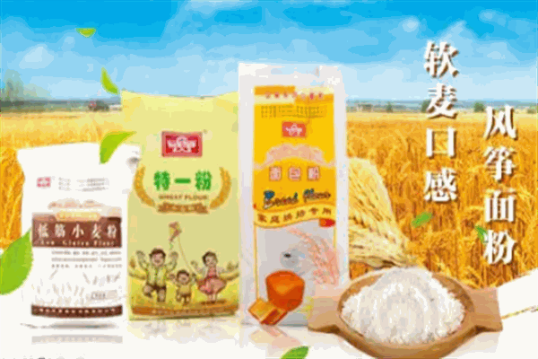 中鄭面粉加盟