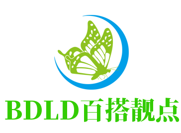 BDLD百搭靚點女裝加盟