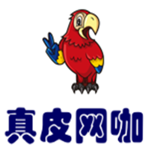 真皮網咖加盟