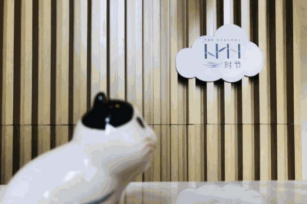 云時節西餐廳加盟