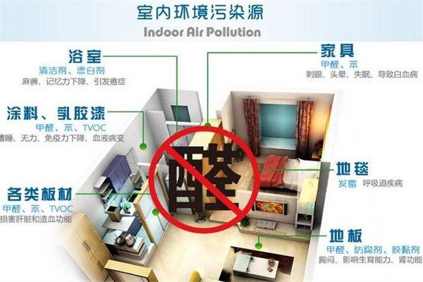 凈GG除甲醛加盟