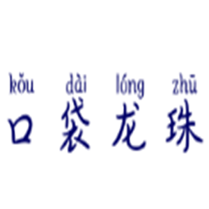 口袋龍珠游戲加盟