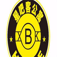 星吧客互聯網長租公寓加盟