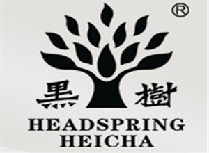 黑樹茶業加盟