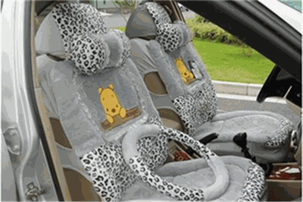 護駕三寶汽車用品加盟