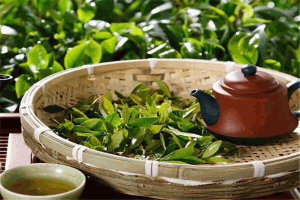 福茗軒茶行加盟