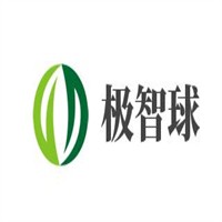 極智球右腦開發加盟