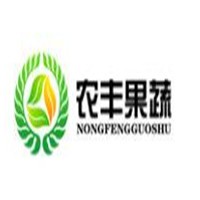 農豐果蔬制品加盟