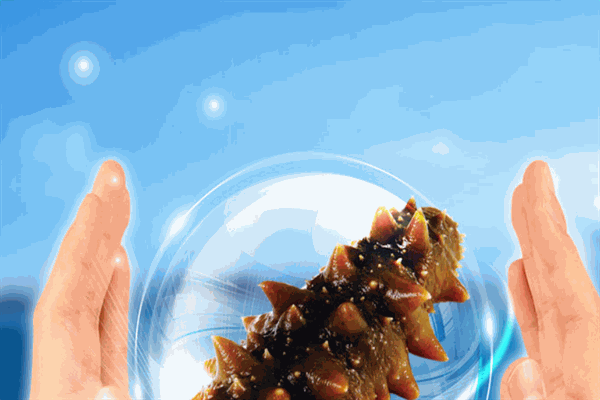皓澤海參加盟