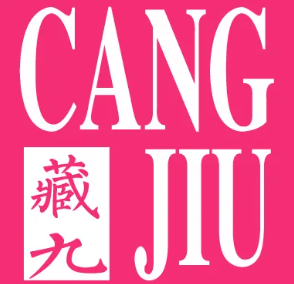 藏九女裝加盟