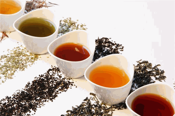 虹星茶廠加盟
