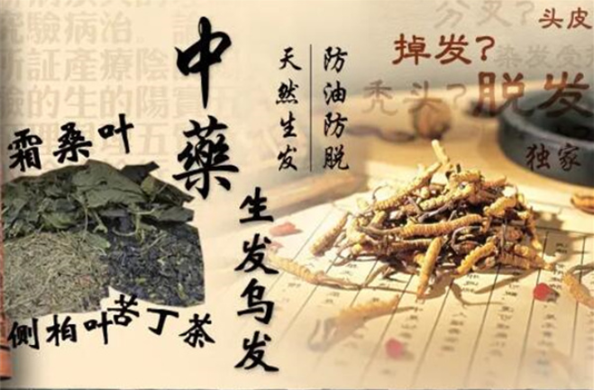 嬋絲美中藥養發加盟