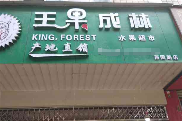 王果成林水果店加盟