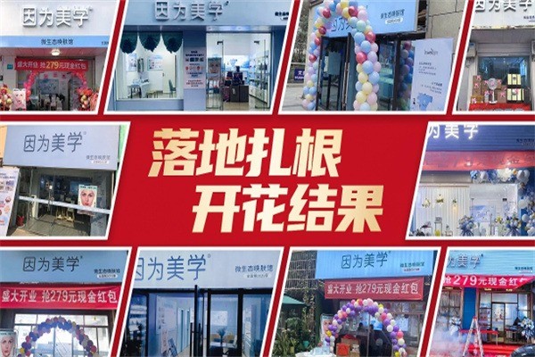 因為美學美容加盟