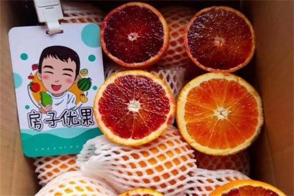 房子優果水果加盟
