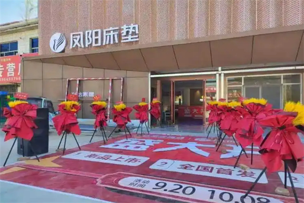 鳳陽床墊加盟