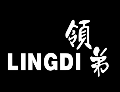 領(lǐng)弟品牌女裝加盟