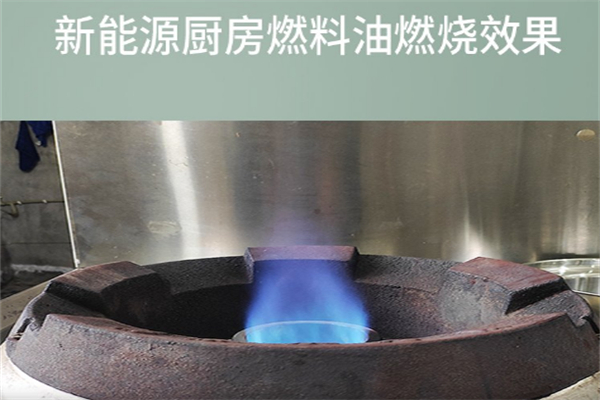 萬(wàn)尚新能源無(wú)醇燃料加盟