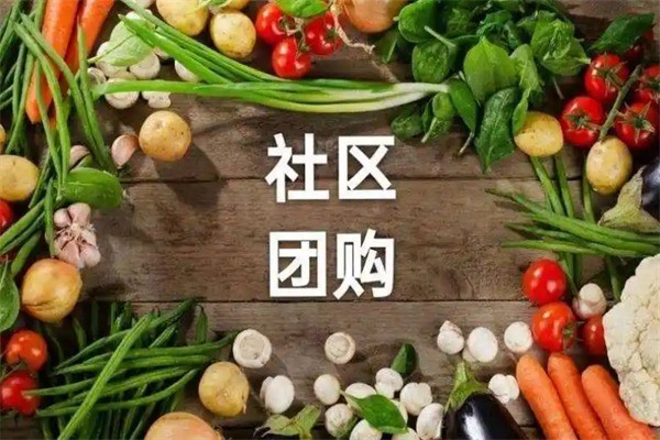 萊西團(tuán)團(tuán)團(tuán)團(tuán)購加盟