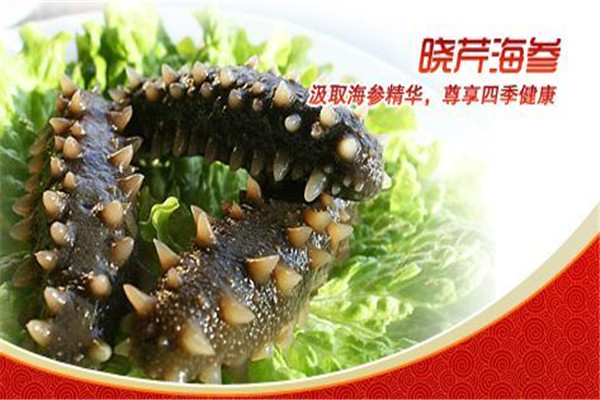 曉芹海參
