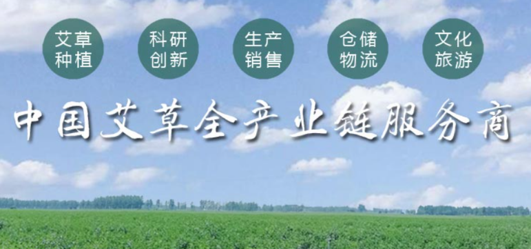國醫仲景艾灸館品牌圖片