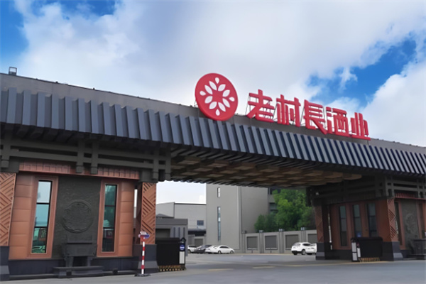 酒水加盟店10大品牌排行榜最新，深度解析加盟價值