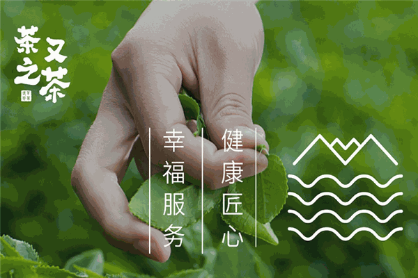 茶之又茶加盟