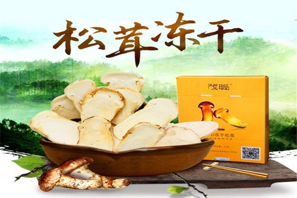 振隆土特產加盟
