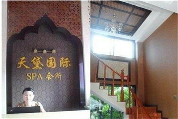 天黛國際SPA美容院