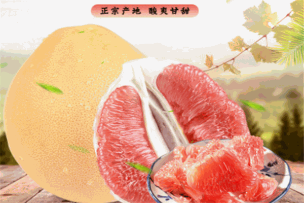 生鮮優購加盟