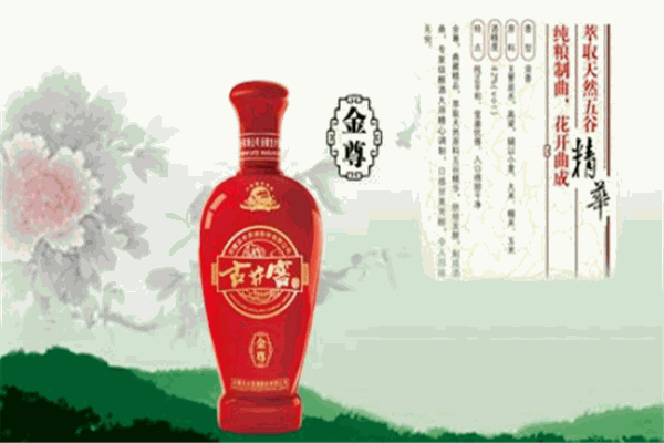 古井窖加盟