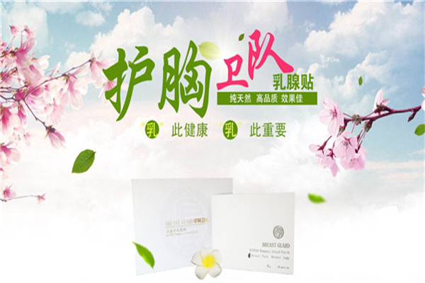 護胸衛隊加盟