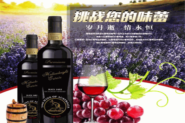 愛酒堡葡萄酒加盟