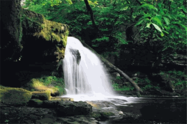 山水教育