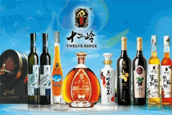 廣東十二嶺酒業(yè)加盟