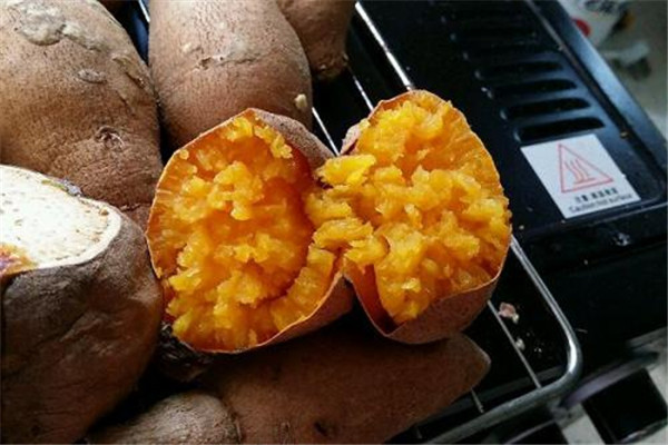翻滾吧紅薯君加盟