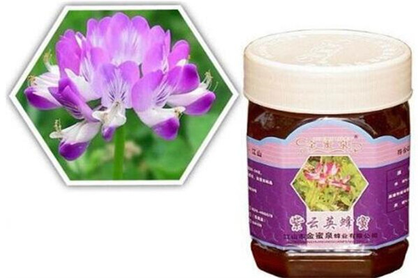 金蜜泉蜂產品加盟
