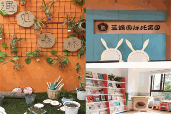 藍蝶國際托育加盟