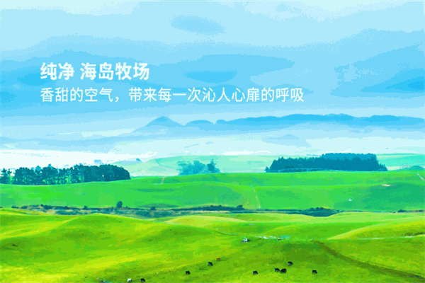倍思純奶粉加盟