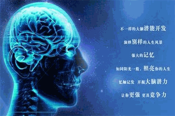 小逗號全腦開發加盟