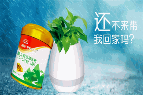莎能羊奶粉加盟