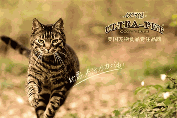優爵加盟
