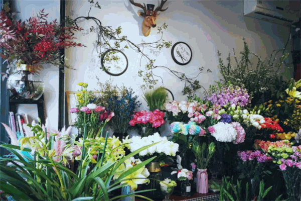 我家花房加盟
