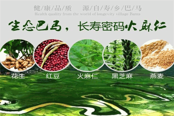 綠道場五谷雜糧飲料加盟